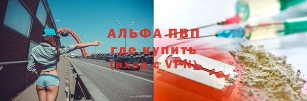 индика Абинск