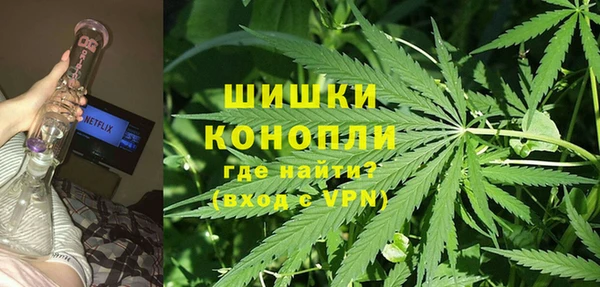 индика Абинск