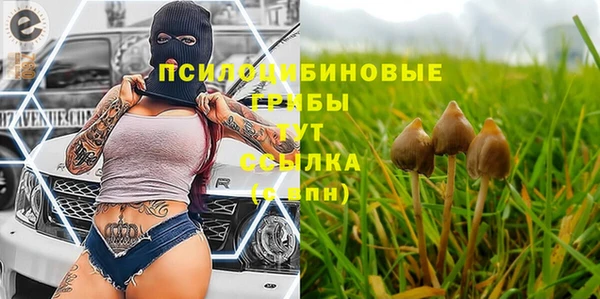 прущая мука Абаза