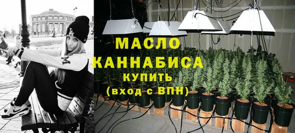 индика Абинск