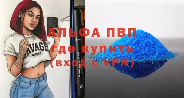 индика Абинск
