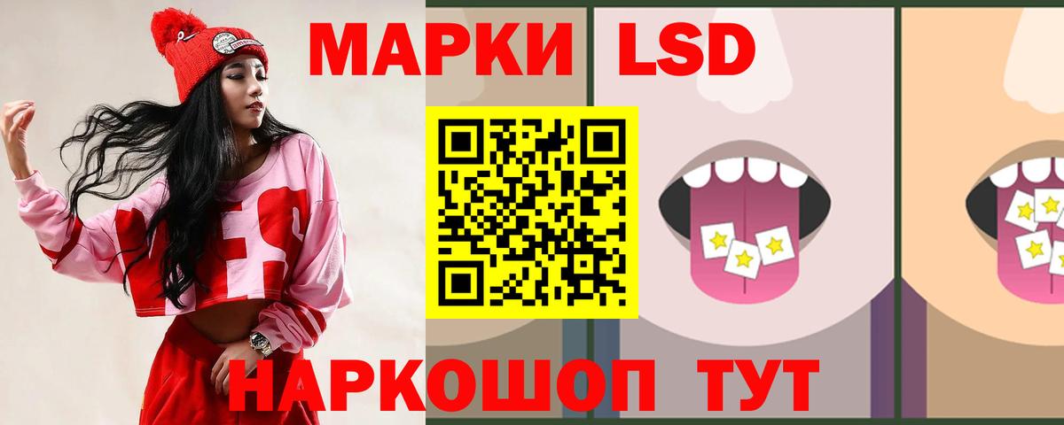 Новокубанск  ЛСД экстази ecstasy  LSD-25 экстази ecstasy  Вход с VPN 