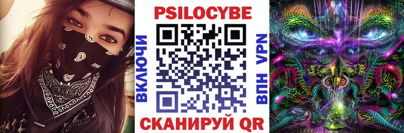 Псилоцибиновые грибы GOLDEN TEACHER  Новокубанск 
