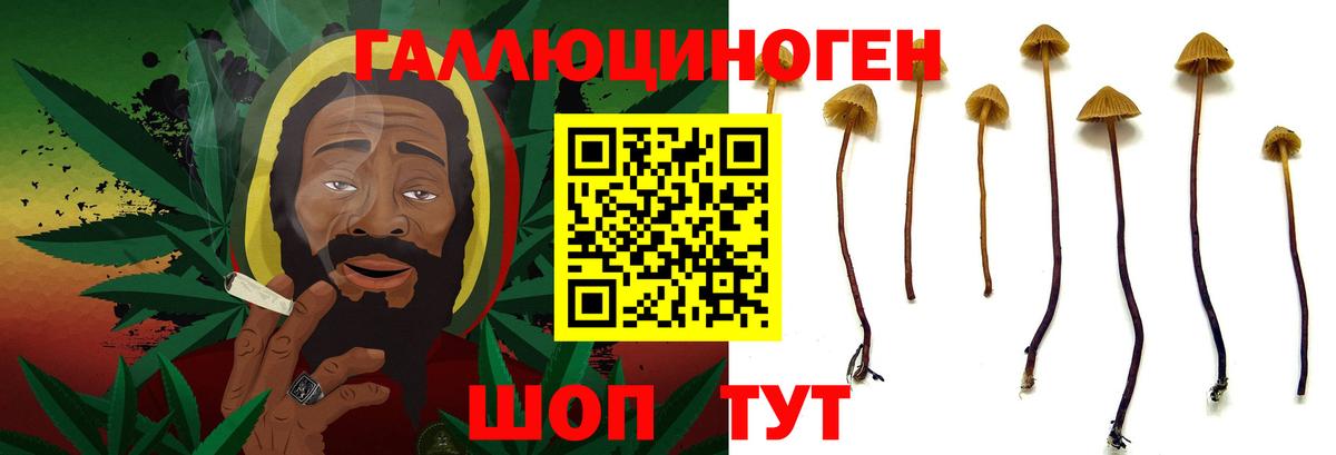 Псилоцибиновые грибы мухоморы Новокубанск